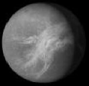 ���� ��� ������ �������