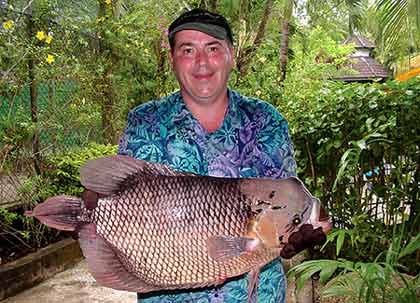 Giant Gourami from Par Lai  Lake